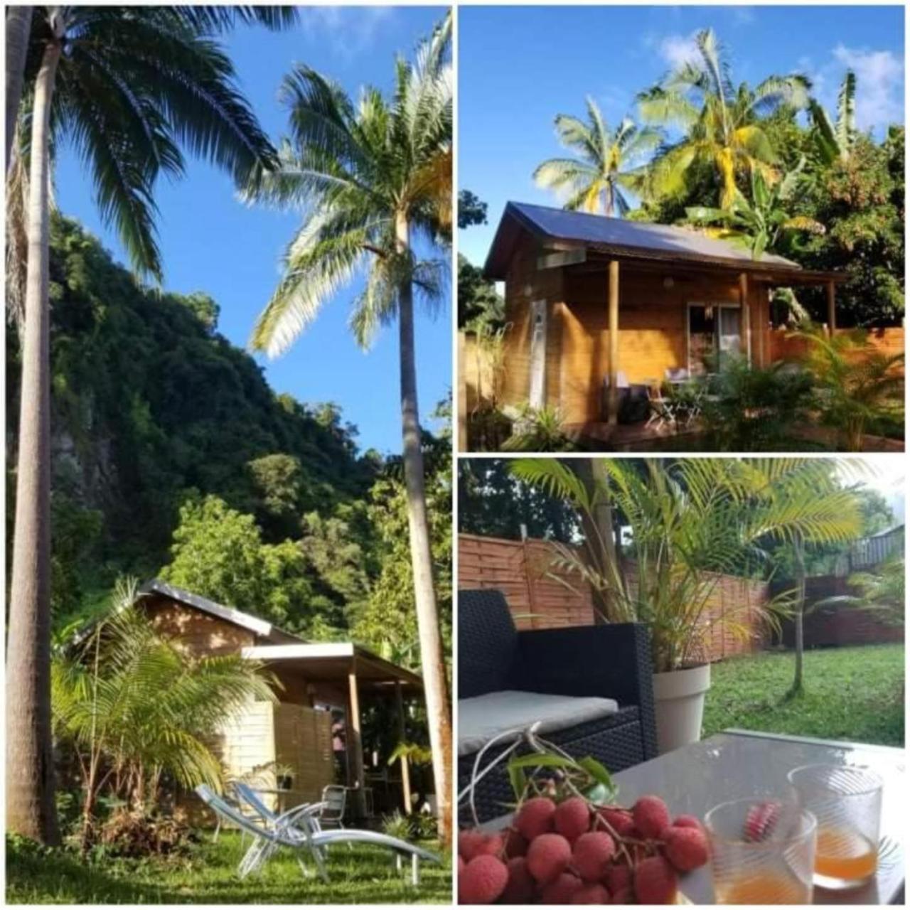 Bunga-Lodge Vanille 圣安德烈 外观 照片